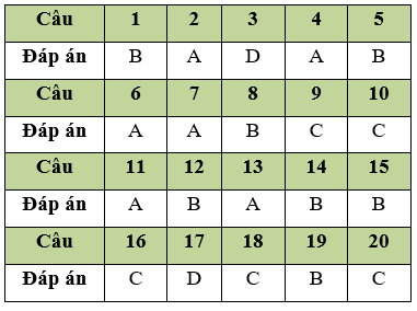 Đề thi Học kì 1 Tin học 11 năm 2024 có đáp án (Đề 4)