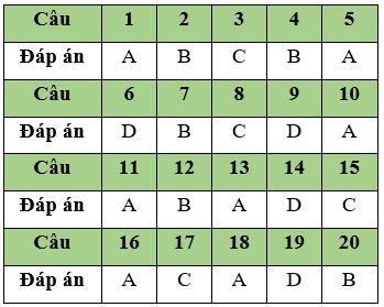 Đề thi Học kì 2 Tin học 11 có đáp án (Đề 1)