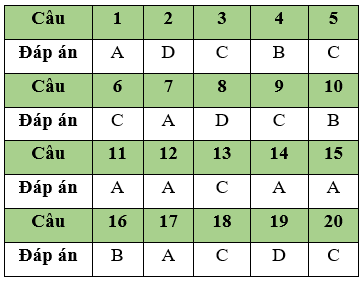 Đề thi Học kì 2 Tin học 11 có đáp án (Đề 4)