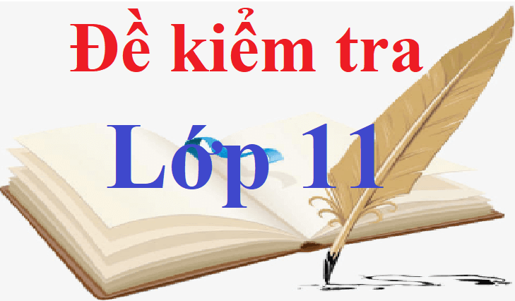 Bộ đề thi lớp 11 có đáp án