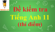 Đề thi Tiếng Anh 11 mới có đáp án