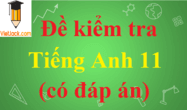 Đề thi Tiếng Anh 11 có đáp án