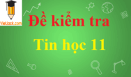 Đề thi Tin học 11 có đáp án