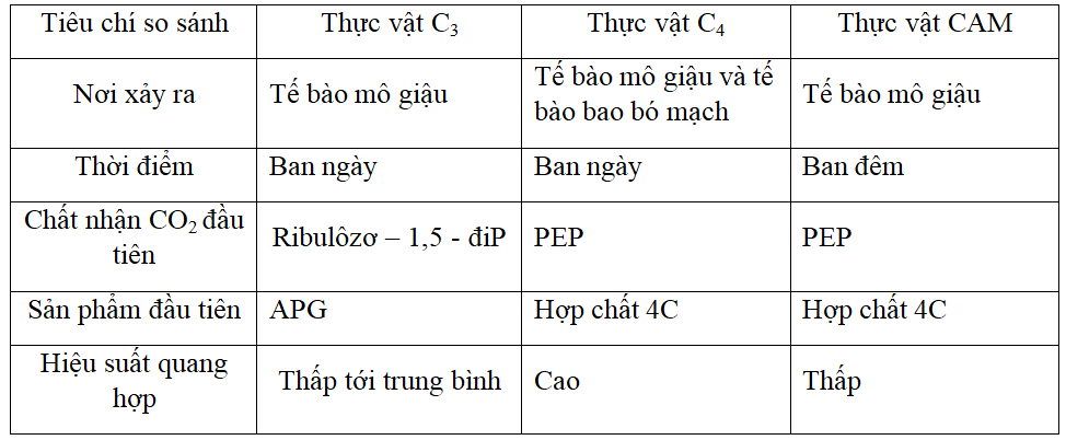 Đề thi Giữa kì 1 Sinh học 11 có đáp án (Đề 1)