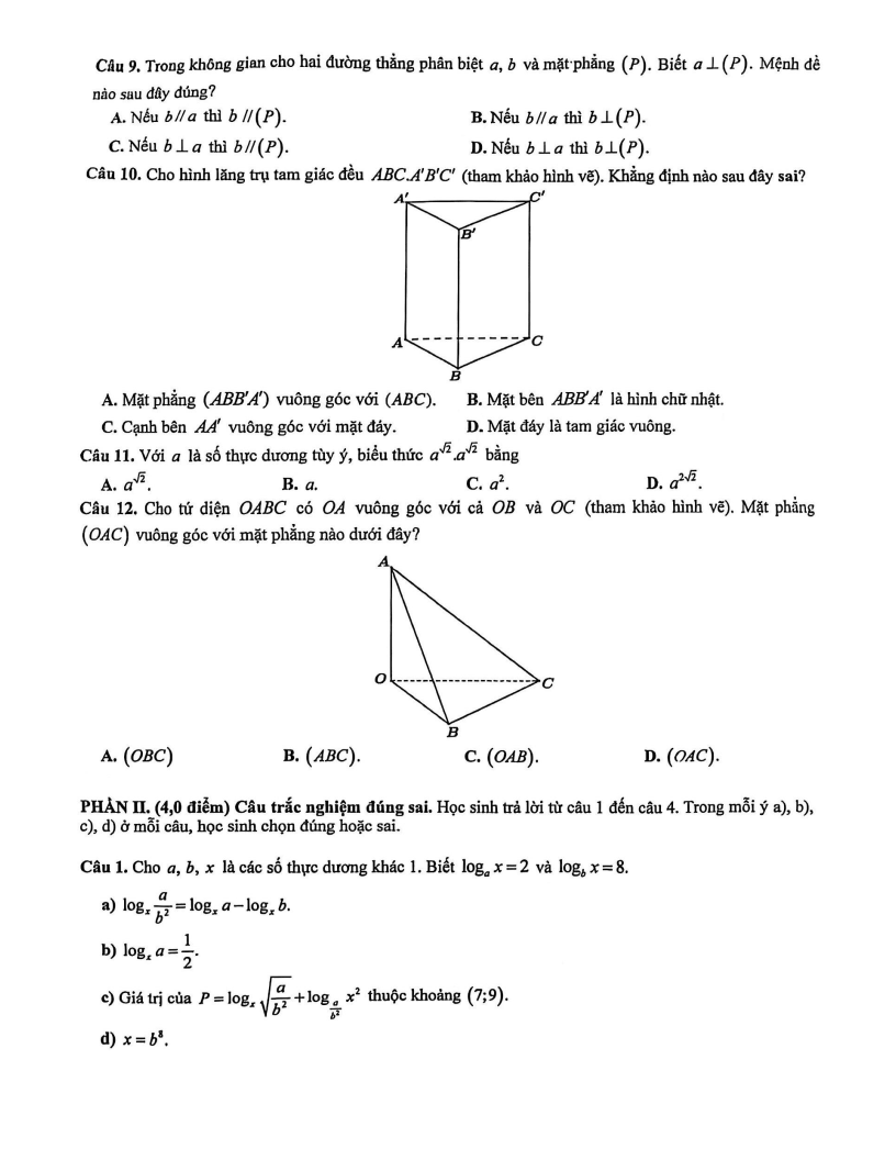 Đề thi Giữa kì 2 Toán 11 trường THPT Châu Văn Liêm (Cần Thơ) năm 2025-2026