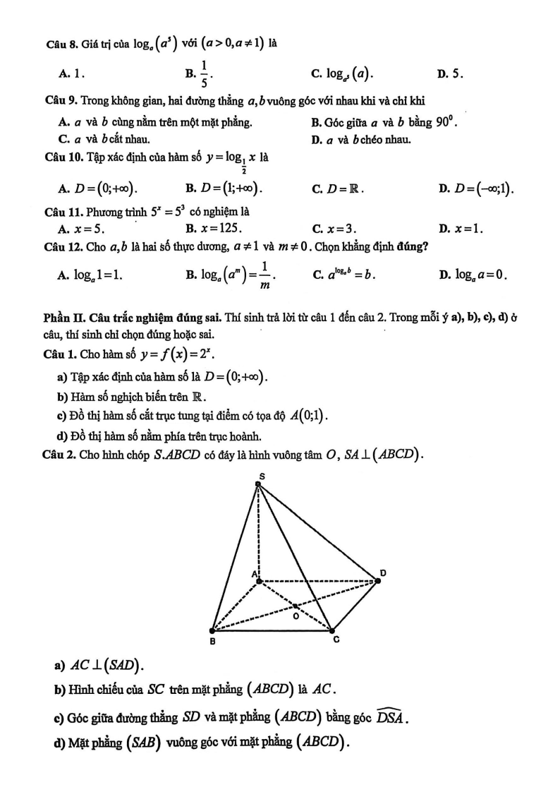 Đề thi Giữa kì 2 Toán 11 trường THPT Đoàn Thị Điểm (Hà Nội) năm 2025-2026