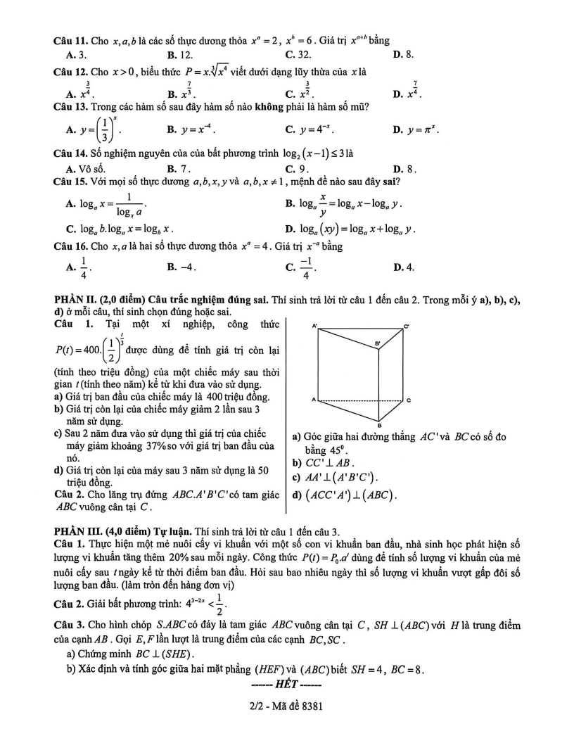 Đề thi Giữa kì 2 Toán 11 trường THPT Hồ Thị Bi (TP HCM) năm 2025-2026