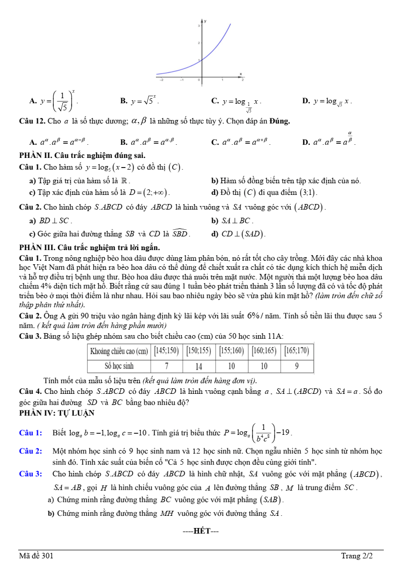 Đề thi Giữa kì 2 Toán 11 trường THPT Hòa Hội (Bà Rịa - Vũng Tàu) năm 2024-2025