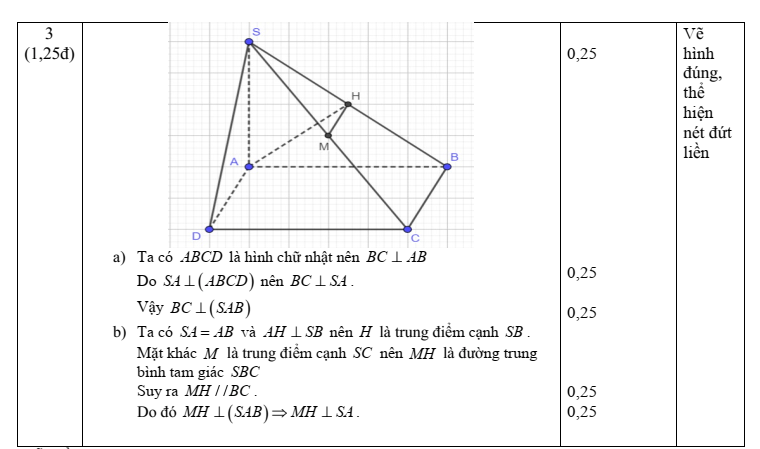 Đề thi Giữa kì 2 Toán 11 trường THPT Hòa Hội (Bà Rịa - Vũng Tàu) năm 2024-2025