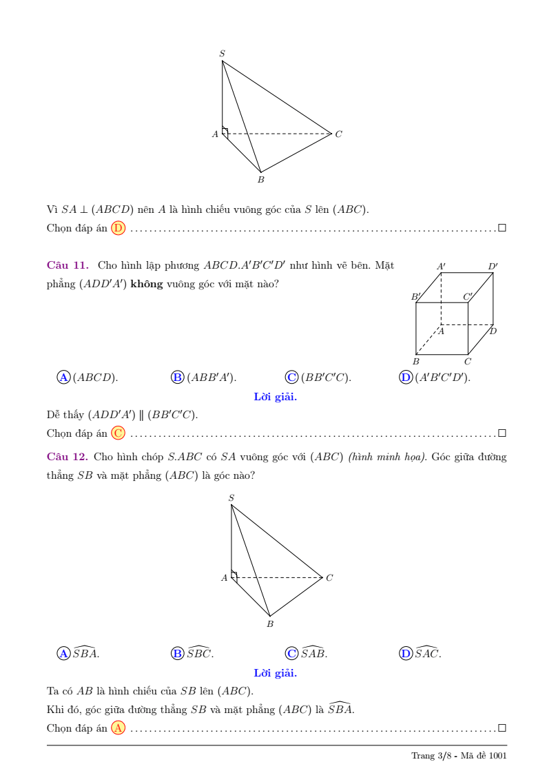 Đề thi Giữa kì 2 Toán 11 trường THPT Lê Quý Đôn (Quảng Ngãi) năm 2025-2026