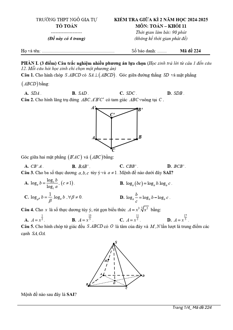 Đề thi Giữa kì 2 Toán 11 trường THPT Ngô Gia Tự (Phú Yên) năm 2024-2025