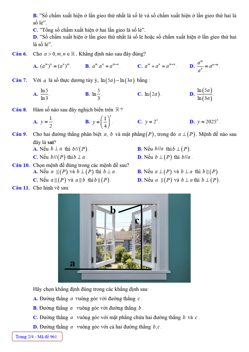 Đề thi Giữa kì 2 Toán 11 trường THPT Nguyễn Du (Nam Định) năm 2024-2025