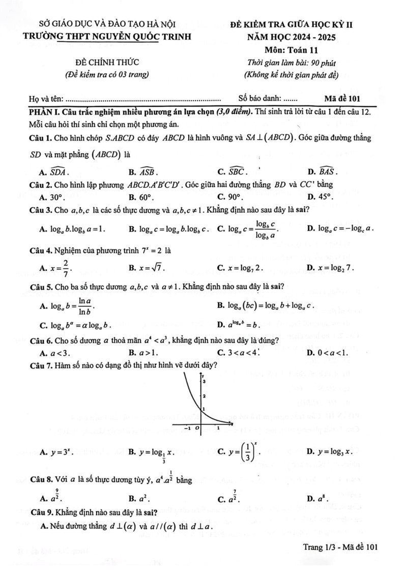 Đề thi Giữa kì 2 Toán 11 trường THPT Nguyễn Quốc Trinh (Hà Nội) năm 2024-2025