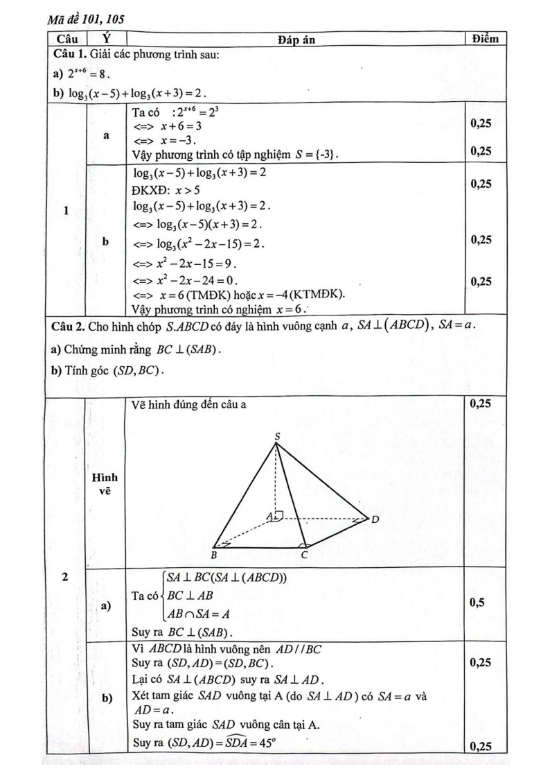 Đề thi Giữa kì 2 Toán 11 trường THPT Nguyễn Quốc Trinh (Hà Nội) năm 2024-2025