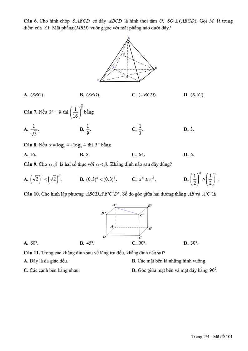 Đề thi Giữa kì 2 Toán 11 trường THPT Phan Bội Châu (Bình Thuận) năm 2024-2025