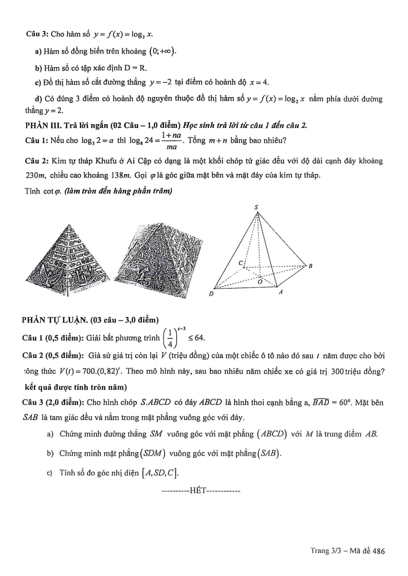 Đề thi Giữa kì 2 Toán 11 trường THPT Phan Châu Trinh (Đà Nẵng) năm 2025-2026