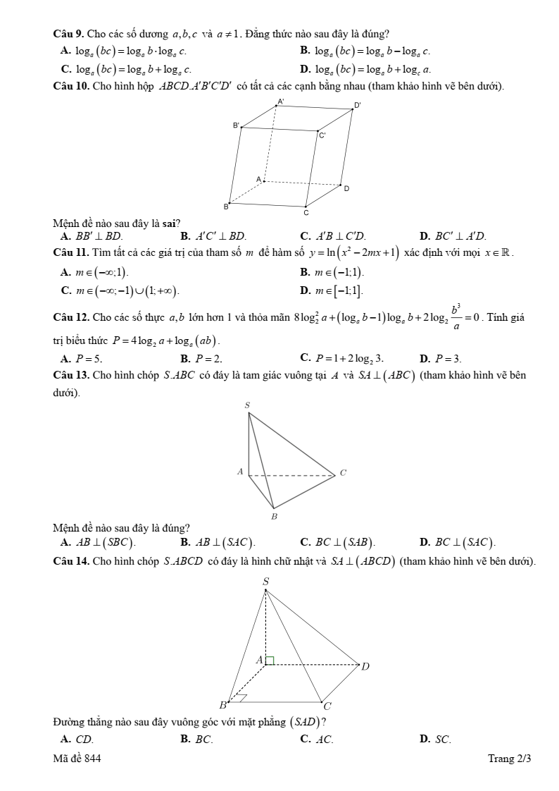 Đề thi Giữa kì 2 Toán 11 trường THPT Phan Đình Phùng (Hà Nội) năm 2024-2025