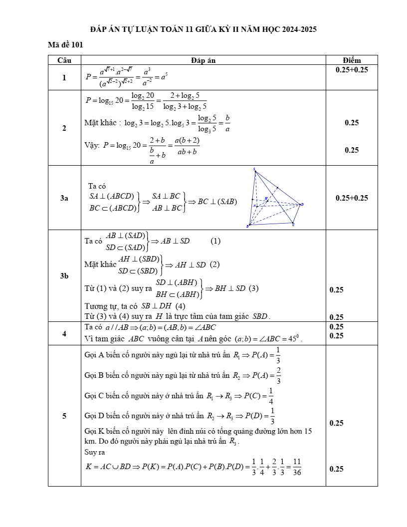 Đề thi Giữa kì 2 Toán 11 trường THPT Thị xã Quảng Trị năm 2024-2025