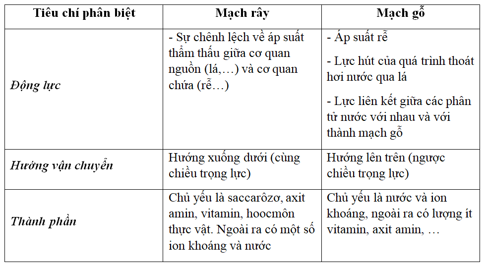 Đề thi Học kì 1 Sinh học 11 có đáp án (Đề 2)