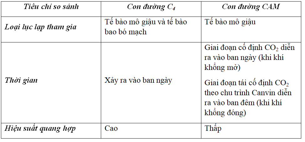 Đề thi Học kì 1 Sinh học 11 có đáp án (Đề 3)