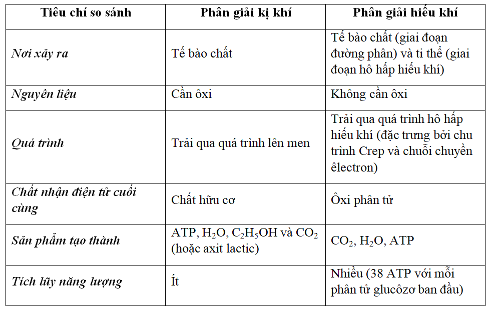 Đề thi Học kì 1 Sinh học 11 có đáp án (Đề 4)