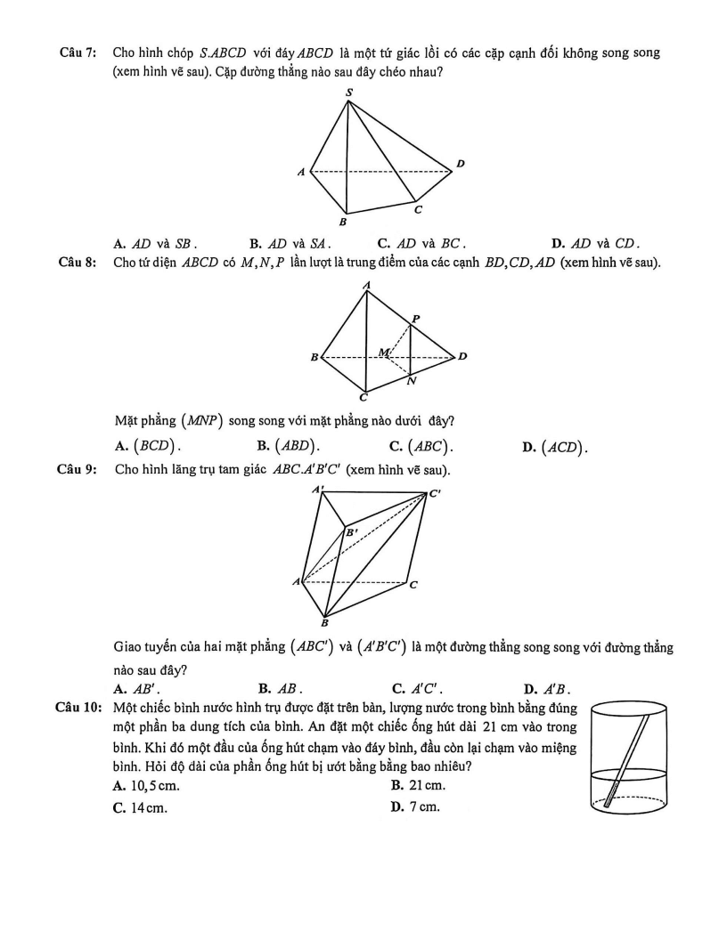 Đề thi Học kì 1 Toán 11 trường THPT Bình Hưng Hòa (Tp.HCM) năm 2025-2026