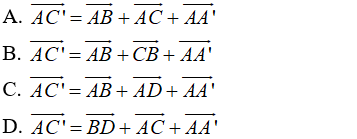 Đề thi Học kì 2 Toán 11 cực hay, có đáp án (Đề 3)