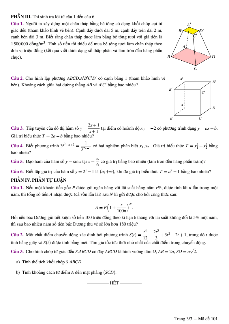 Đề thi Học kì 2 Toán 11 sở GD&ĐT Nam Định năm 2024-2025