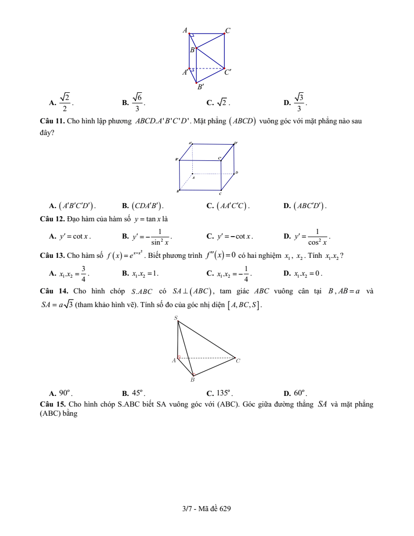 Đề thi Học kì 2 Toán 11 trường THPT chuyên Vị Thanh (Hậu Giang) năm 2024-2025