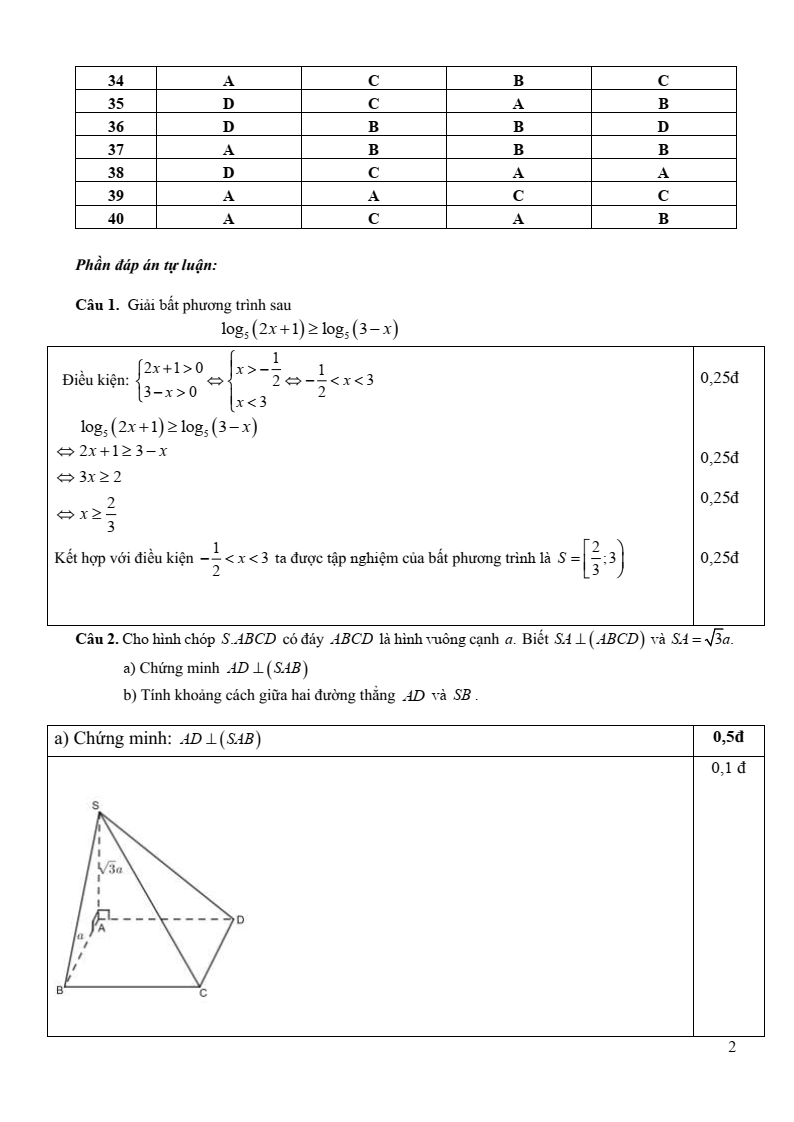 Đề thi Học kì 2 Toán 11 trường THPT chuyên Vị Thanh (Hậu Giang) năm 2024-2025