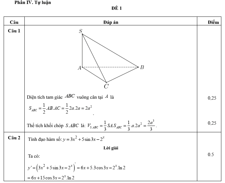 Đề thi Học kì 2 Toán 11 trường THPT Chế Lan Viên (Quảng Trị) năm 2024-2025