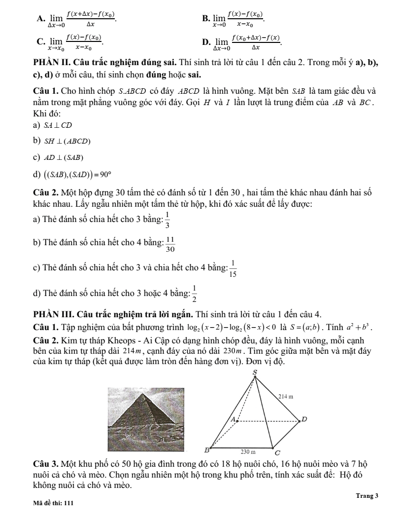 Đề thi Học kì 2 Toán 11 trường THPT Kẻ Sặt (Hải Dương) năm 2024-2025