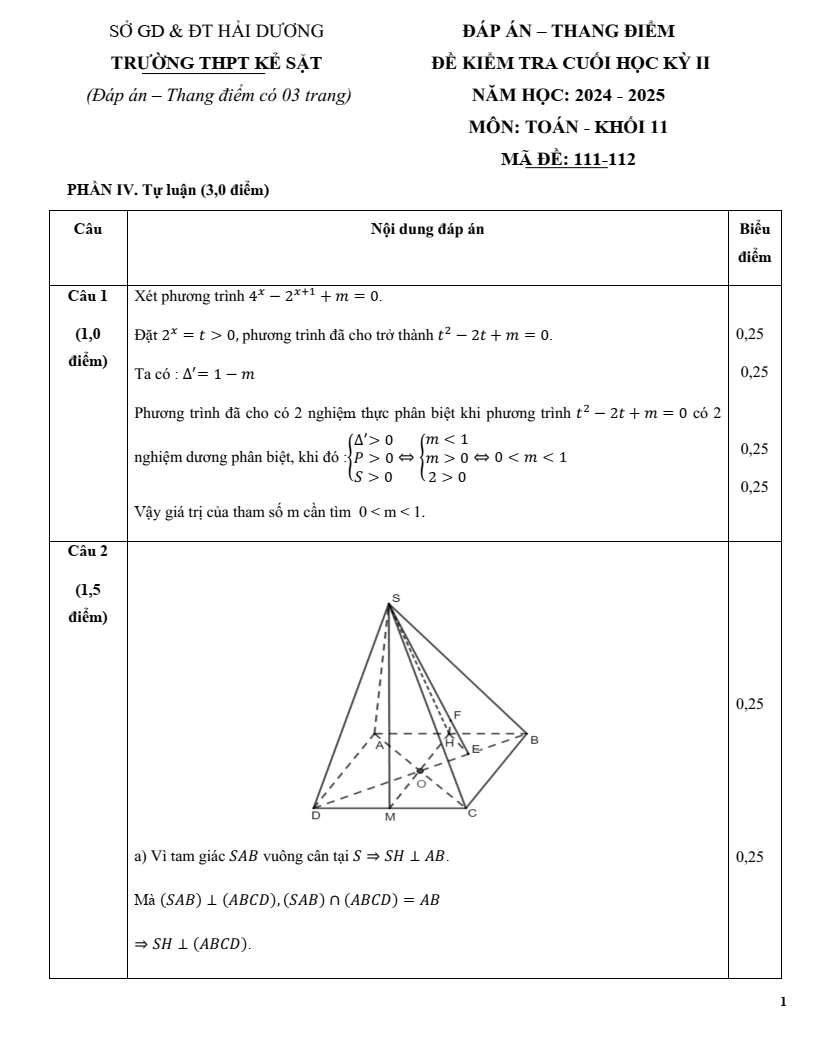 Đề thi Học kì 2 Toán 11 trường THPT Kẻ Sặt (Hải Dương) năm 2024-2025