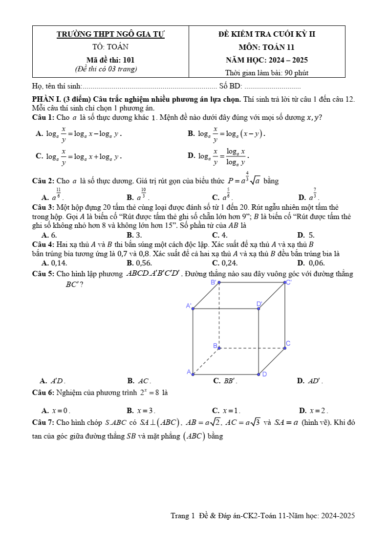 Đề thi Học kì 2 Toán 11 trường THPT Ngô Gia Tự (Phú Yên) năm 2024-2025