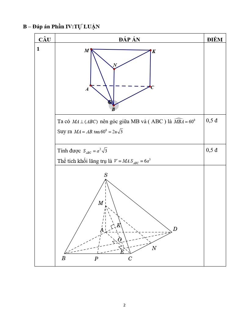 Đề thi Học kì 2 Toán 11 trường THPT Ngô Gia Tự (Đắk Lắk) năm 2024-2025
