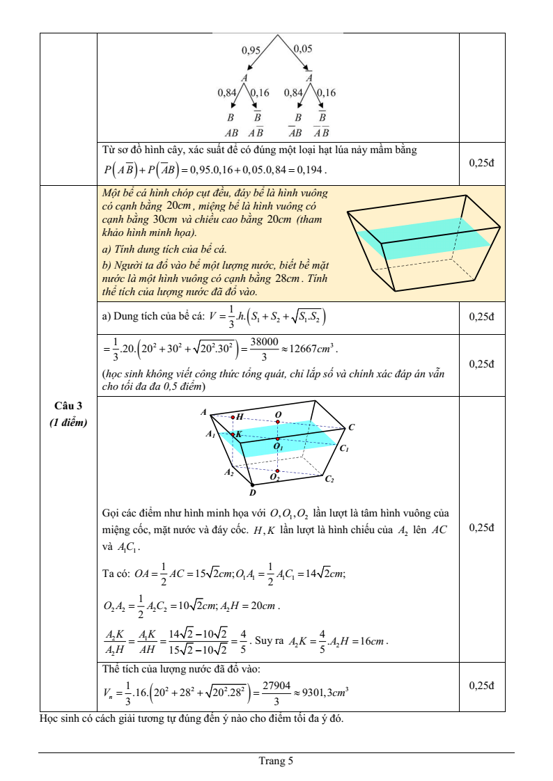 Đề thi Học kì 2 Toán 11 trường THPT Phạm Phú Thứ (Đà Nẵng) năm 2024-2025