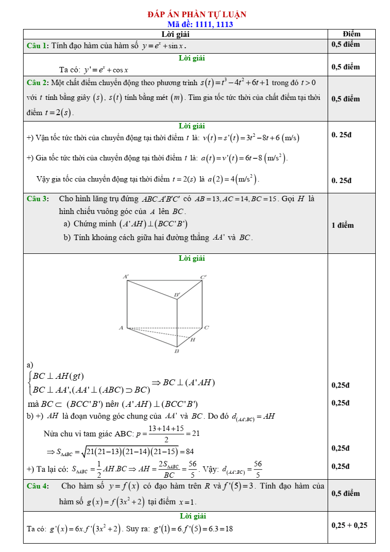 Đề thi Học kì 2 Toán 11 trường THPT Thị xã Quảng Trị năm 2024-2025