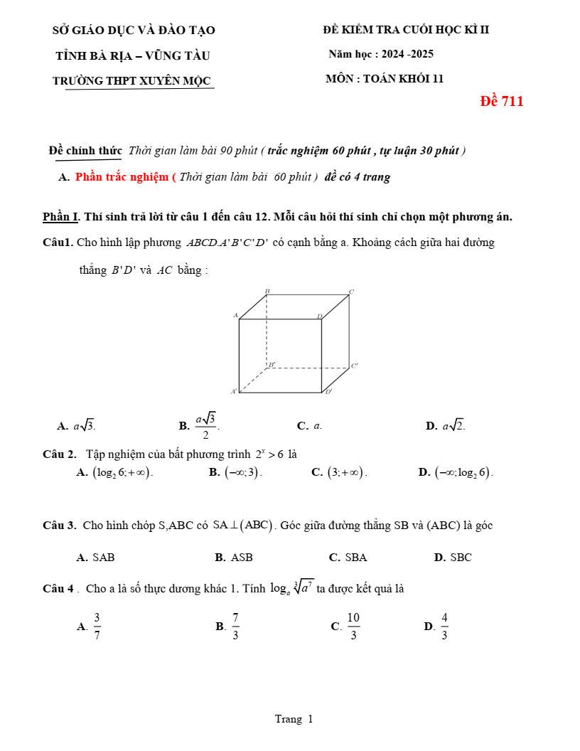 Đề thi Học kì 2 Toán 11 trường THPT Xuyên Mộc (Bà Rịa - Vũng Tàu) năm 2024-2025