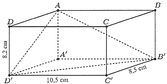 10+ Đề thi Học kì 2 Toán 11 cấu trúc mới Cánh diều (có đáp án + ma trận)