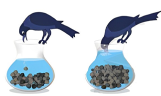 5+ Đề thi Giữa kì 2 Sinh học 11 Cánh diều (cấu trúc mới, có đáp án)