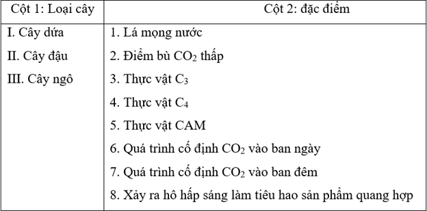 Bộ 20 Đề thi Sinh học 11 Giữa học kì 1 năm 2024 tải nhiều nhất