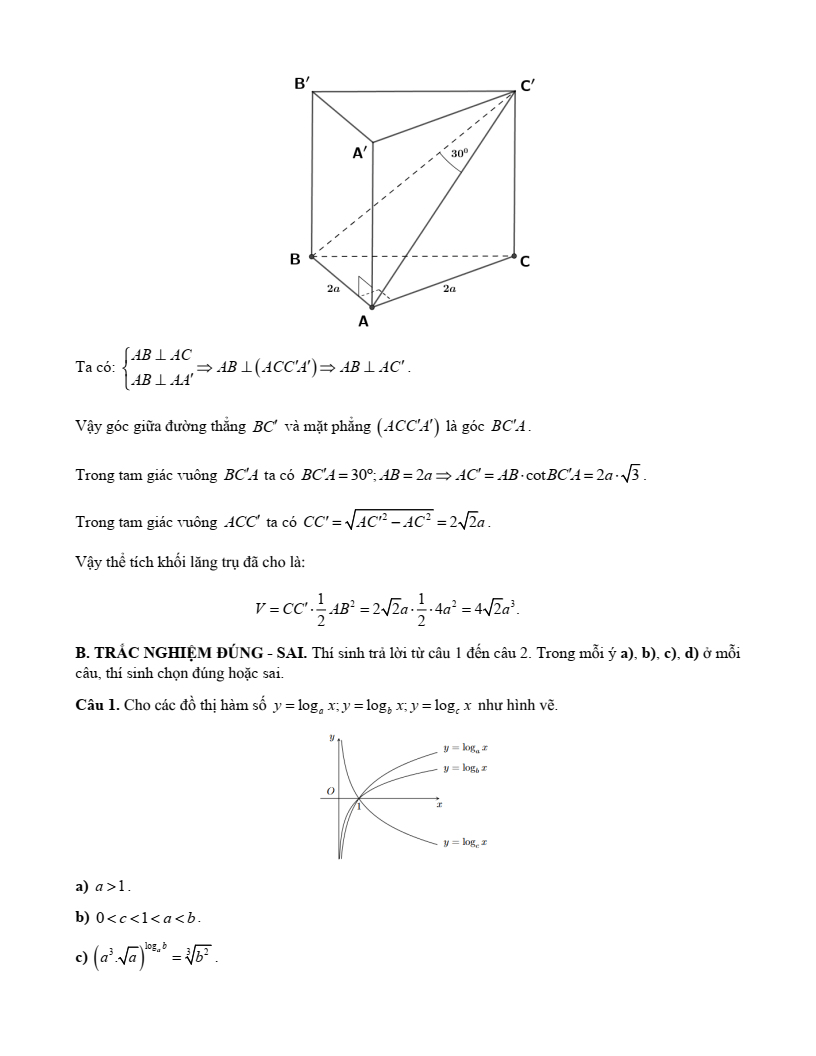 15+ Đề thi Giữa kì 2 Toán 11 Kết nối tri thức (cấu trúc mới, có đáp án)