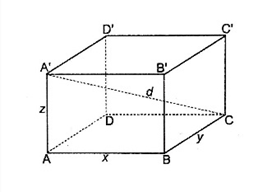 10 Đề thi Học kì 2 Toán 11 Chân trời sáng tạo (có đáp án + ma trận)