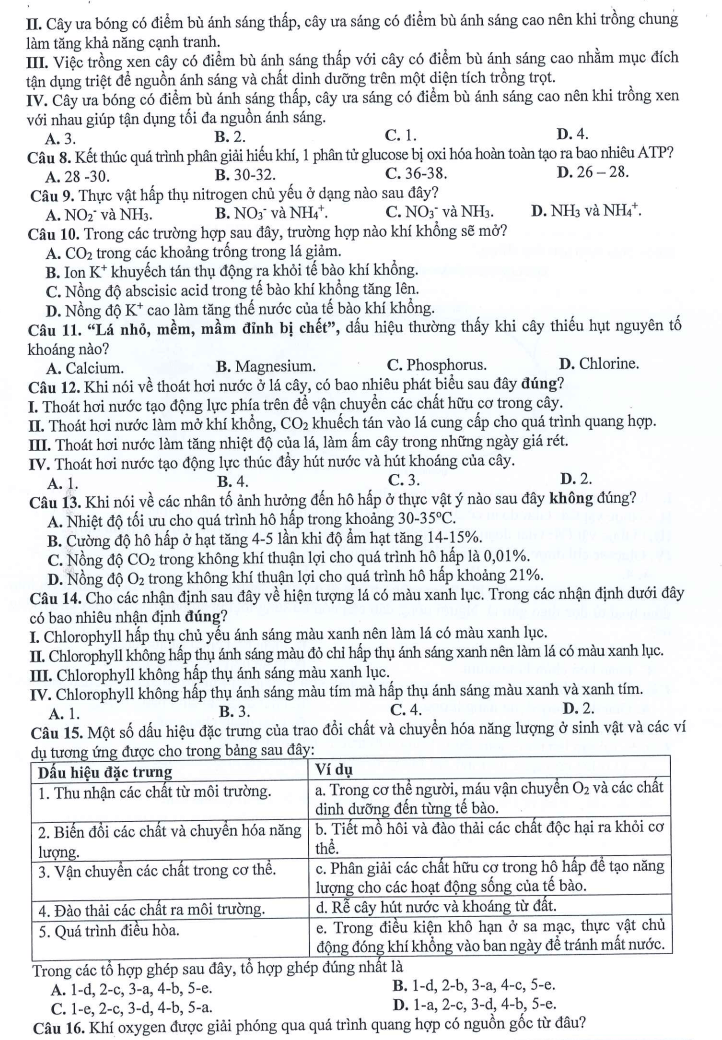 Đề thi Giữa kì 1 Sinh học 11 năm 2024-2025 trường THPT Dĩ An (Bình Dương)