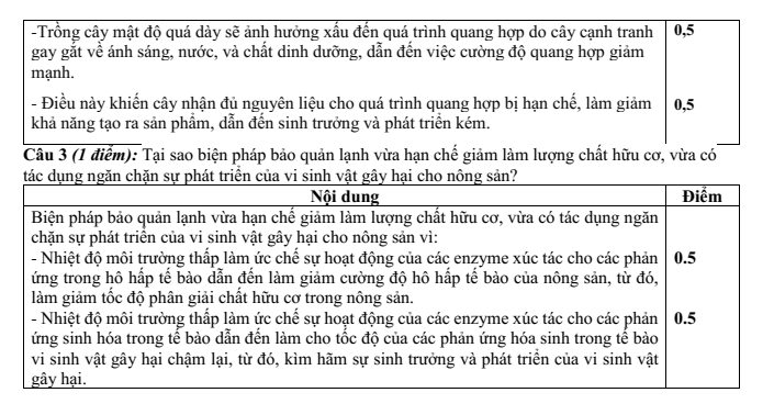Đề thi Giữa kì 1 Sinh học 11 năm 2025-2026 trường THPT Hướng Hóa (Quảng Trị)
