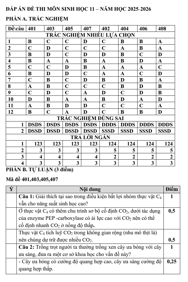 Đề thi Giữa kì 1 Sinh học 11 năm 2025-2026 trường THPT Lý Tự Trọng (Đà Nẵng)