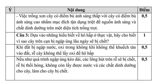 Đề thi Giữa kì 1 Sinh học 11 năm 2025-2026 trường THPT Lý Tự Trọng (Đà Nẵng)