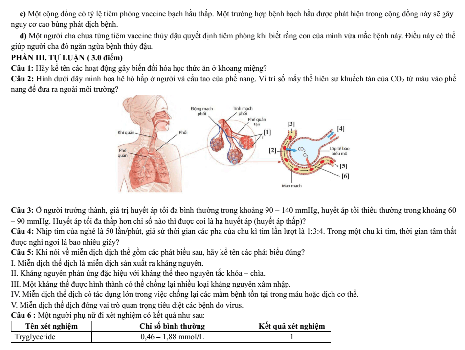 Đề thi Học kì 1 Sinh học 11 năm 2025-2026 trường THPT Bình Chiểu (TP HCM)