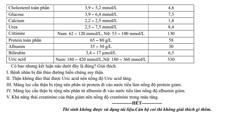 Đề thi Học kì 1 Sinh học 11 năm 2025-2026 trường THPT Bình Chiểu (TP HCM)