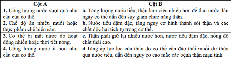 Đề thi Học kì 1 Sinh học 11 năm 2024-2025 trường THPT Nguyễn Huệ (Quảng Nam)
